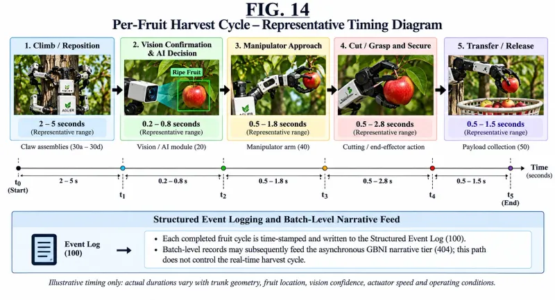 Timing diagram of the per-fruit harvest cycle in five stages: climb and reposition, vision confirmation and AI decision, manipulator approach, cut or grasp, and transfer to the basket, with a structured event log feeding the GBNI narrative tier.